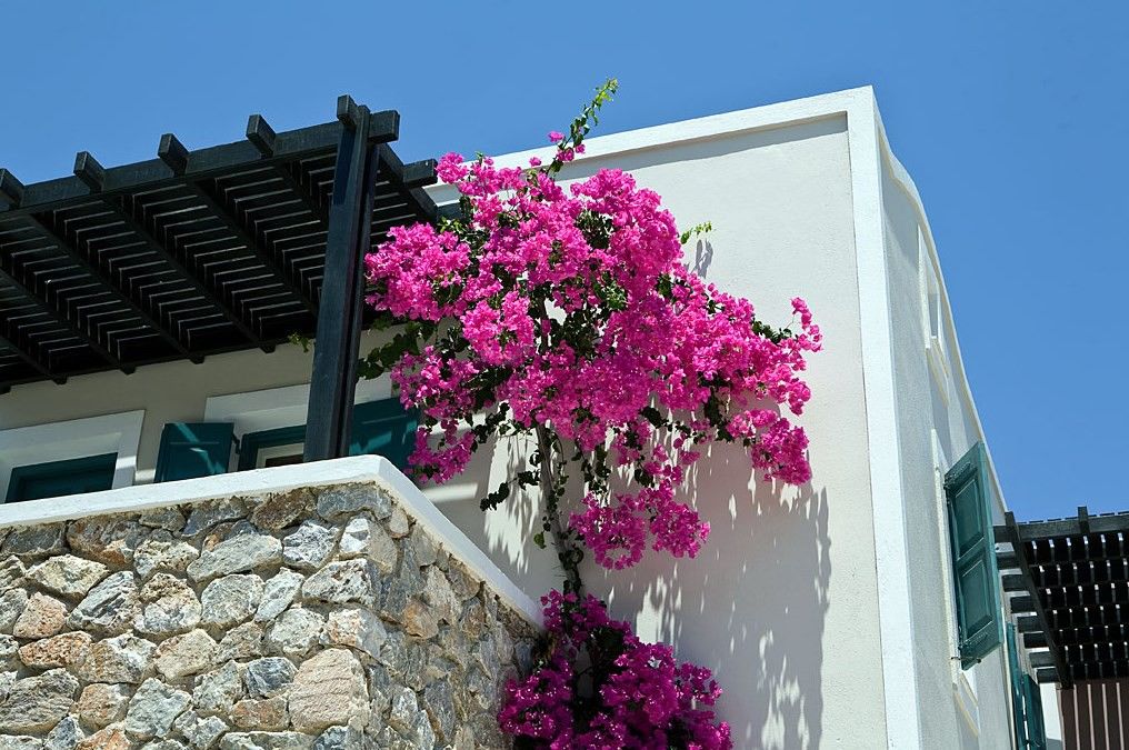 Rose Bay Hotel Kamári Exteriér fotografie